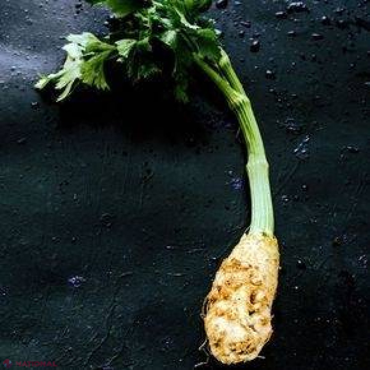 UTIL // Ţelina şi beneficiile acestei legume arhicunoscute