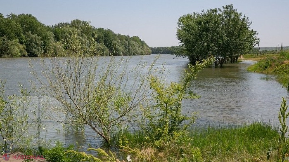 METEO // Ploi puternice, cu grindină și vijelie, anunțate pentru jumătatea de nord a R. Moldova: Ce temperaturi vom avea pe parcursul zilei de joi