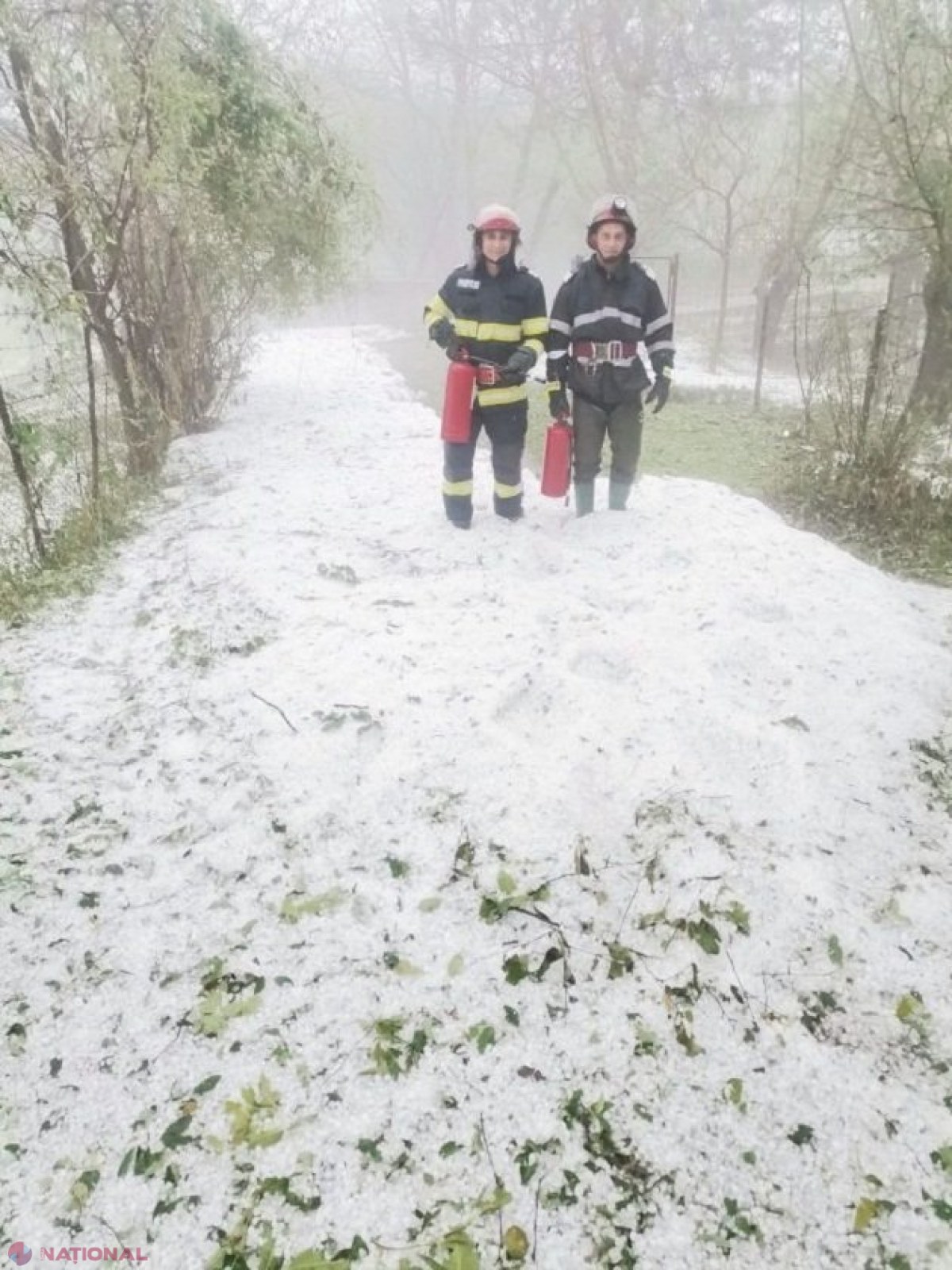 FOTO, VIDEO // Suceava, lovită puternic de GRINDINĂ: Copaci și panouri publicitare puse la pământ, cartiere inundate și spații de utilitate publică dărâmate