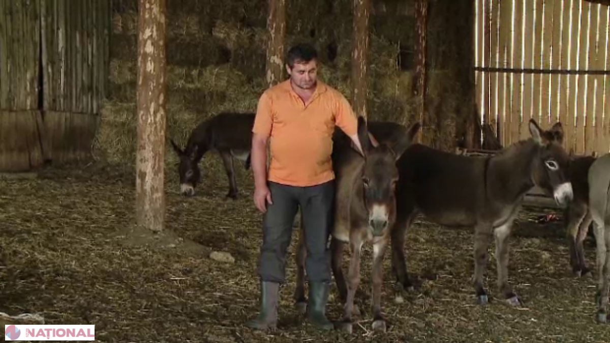 Afacerea cu care un crescător de animale a dat lovitura. Produsele lui sunt la mare căutare în toată Europa