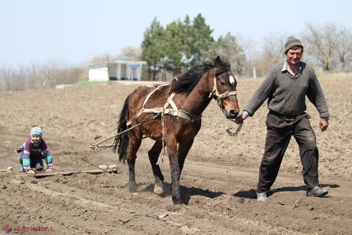 R. Moldova, țara în care cei mai mulți oameni muncesc în domeniul serviciilor și în agricultură