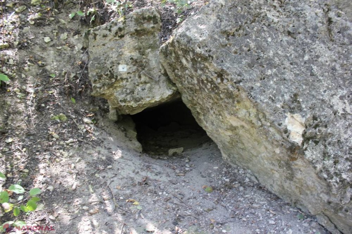 SURPRIZĂ // Are peste 10 MILIOANE de ani şi se află la Criuleni