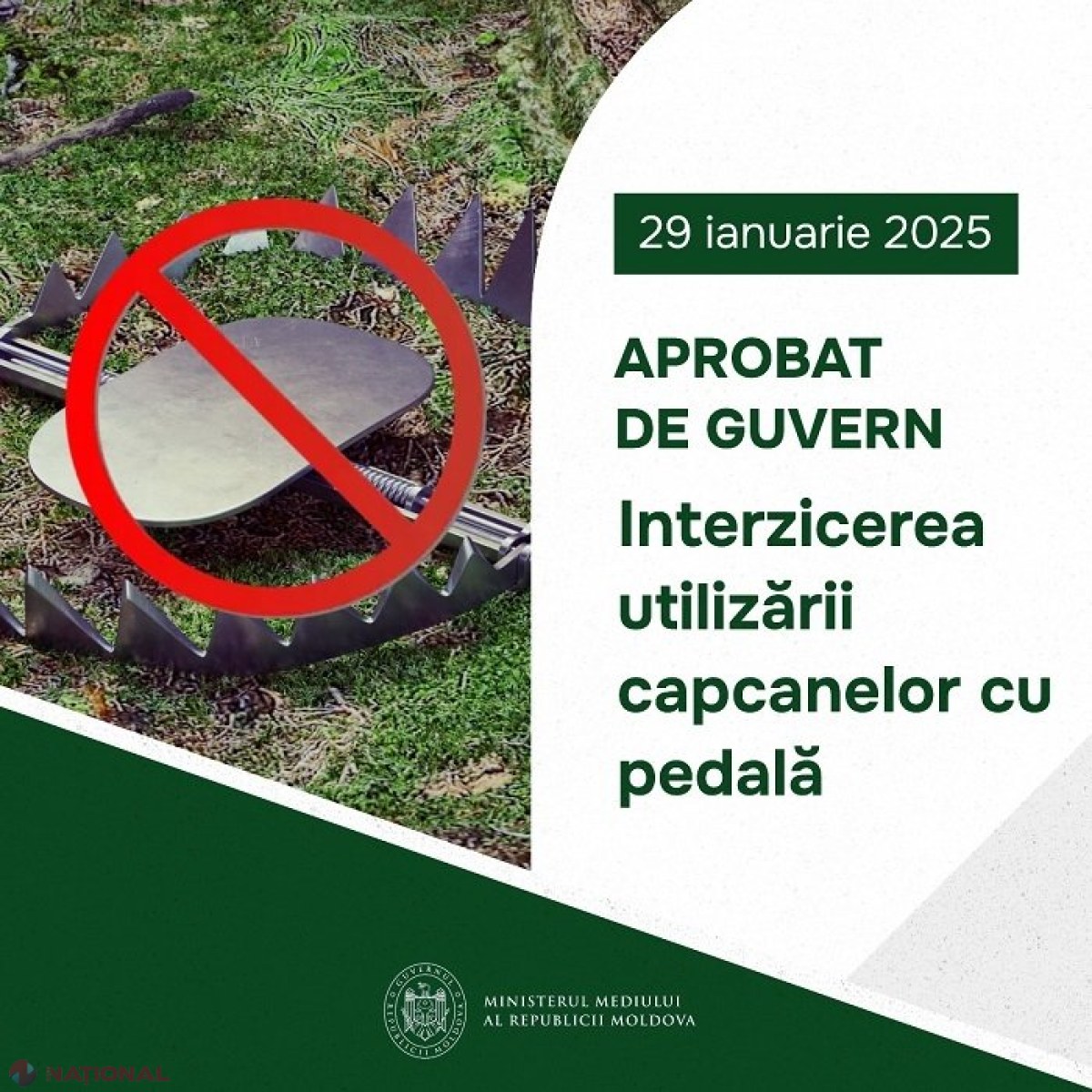 Modelul de capcană interzis în R. Moldova: Utilizarea acesteia pentru capturarea animalelor sălbatice va fi considerată braconaj