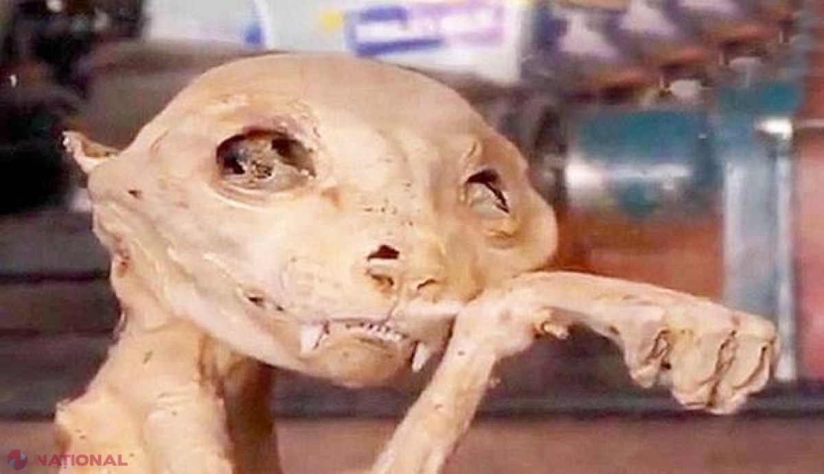 FOTO // O descoperire bizară făcută în Turcia DERUTEAZĂ oamenii de ştiinţă