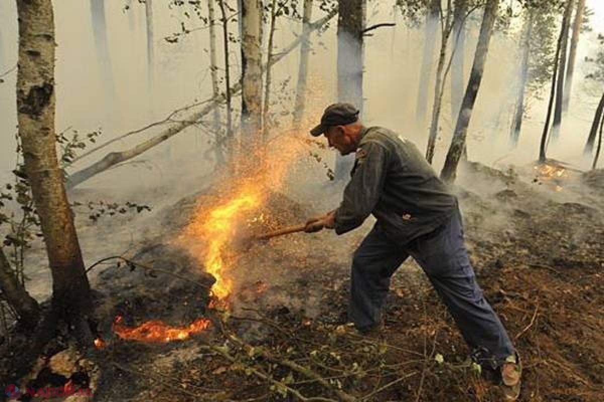 Găgăuzia // INCENDIU lângă o tabără de odihnă. Copiii au fost evacuați