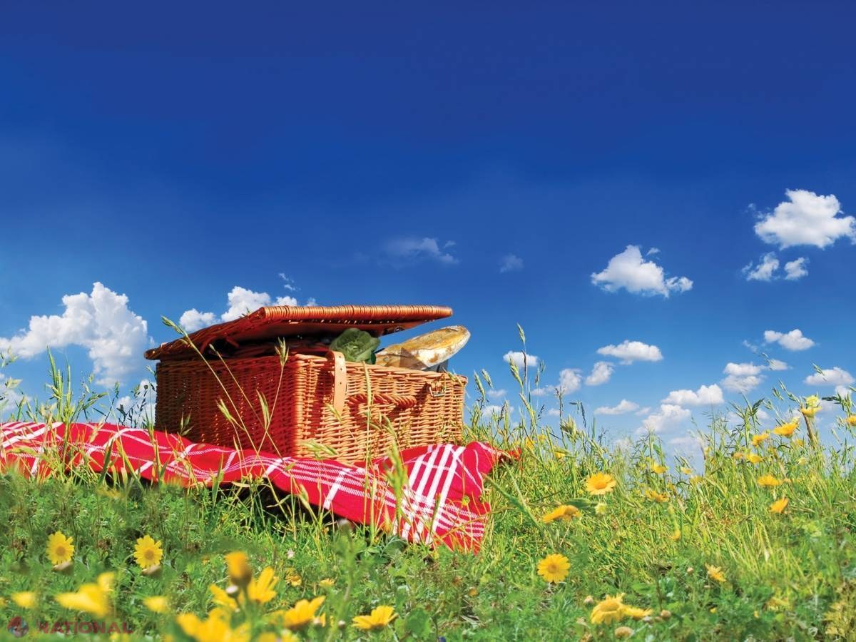 Sfatul nutriţionistului Tamara Șchiopu // Sezonul picnicurilor