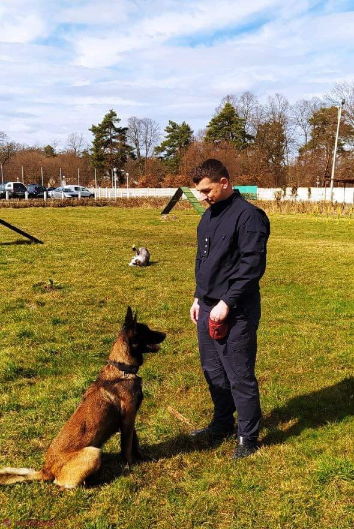 Trei echipe canine ale Poliției de Frontieră, şcolite aproape două luni la Sibiu