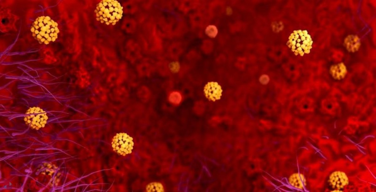Un virus hibrid COVID-19, ce combină variantele din India și Marea Britanie, descoperit în Vietnam