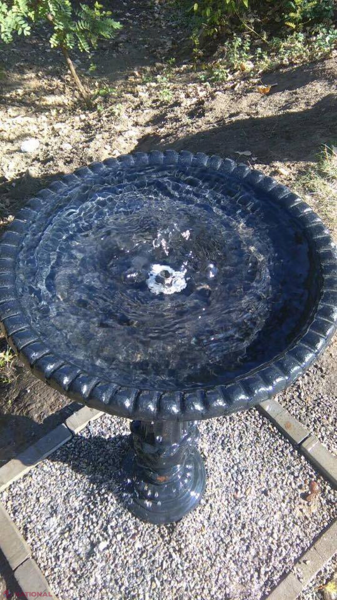 FOTO // Cișmelele instalate în parcul Valea Morilor au fost VANDALIZATE. Șefa de la „Apă-Canal Chișinău” e gata să RENUNȚE: „Nu sunt sigură dacă vom mai continua…”