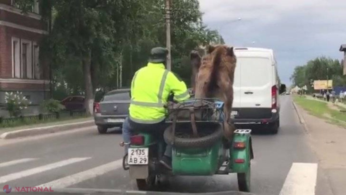VIDEO // Numai în Rusia se poate întâmpla aşa ceva...
