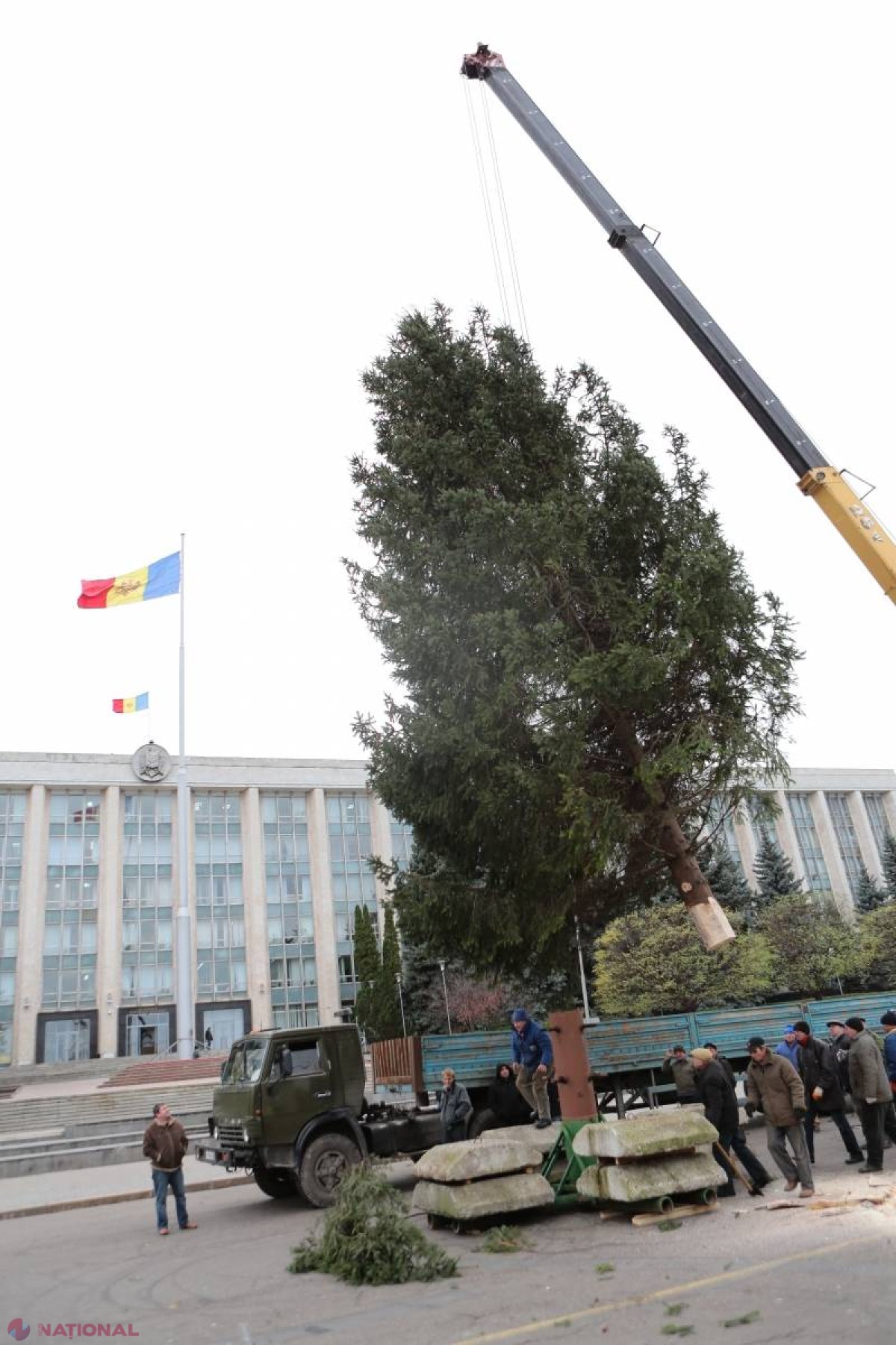 FOTO // Bradul de Crăciun a fost instalat deja în PMAN