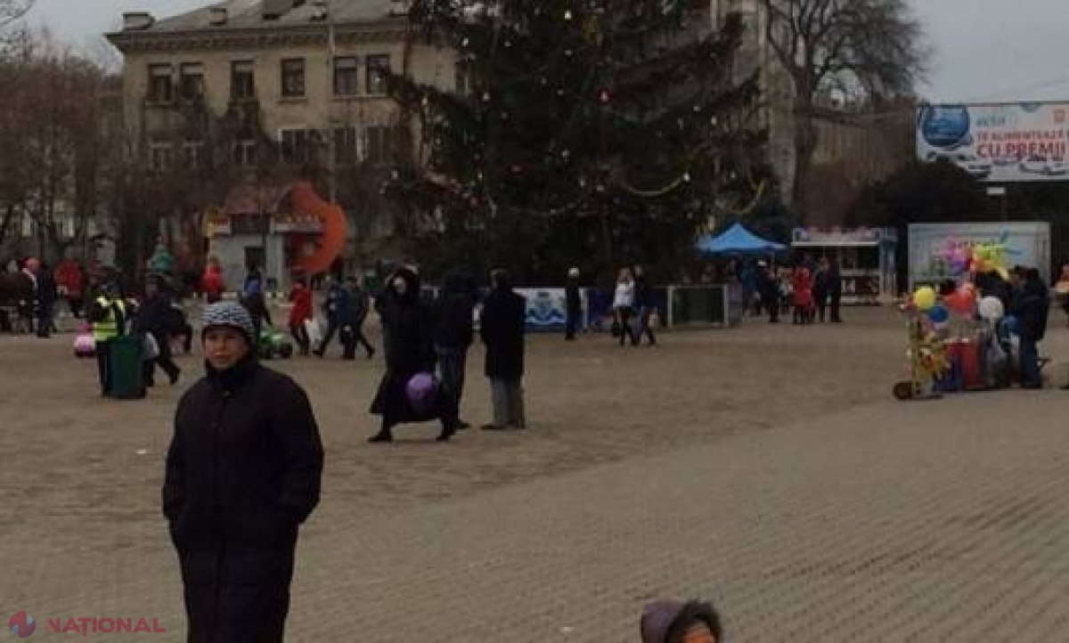 S-au ÎMBĂTAT şi s-au urcat ÎN VÂRFUL BRADULUI!