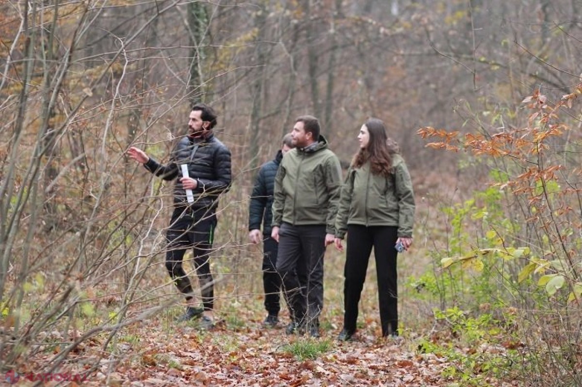 PLAN // În pădurea din Durlești vor fi amenajate trasee pentru alergare, ciclism, dar și pentru plimbări 