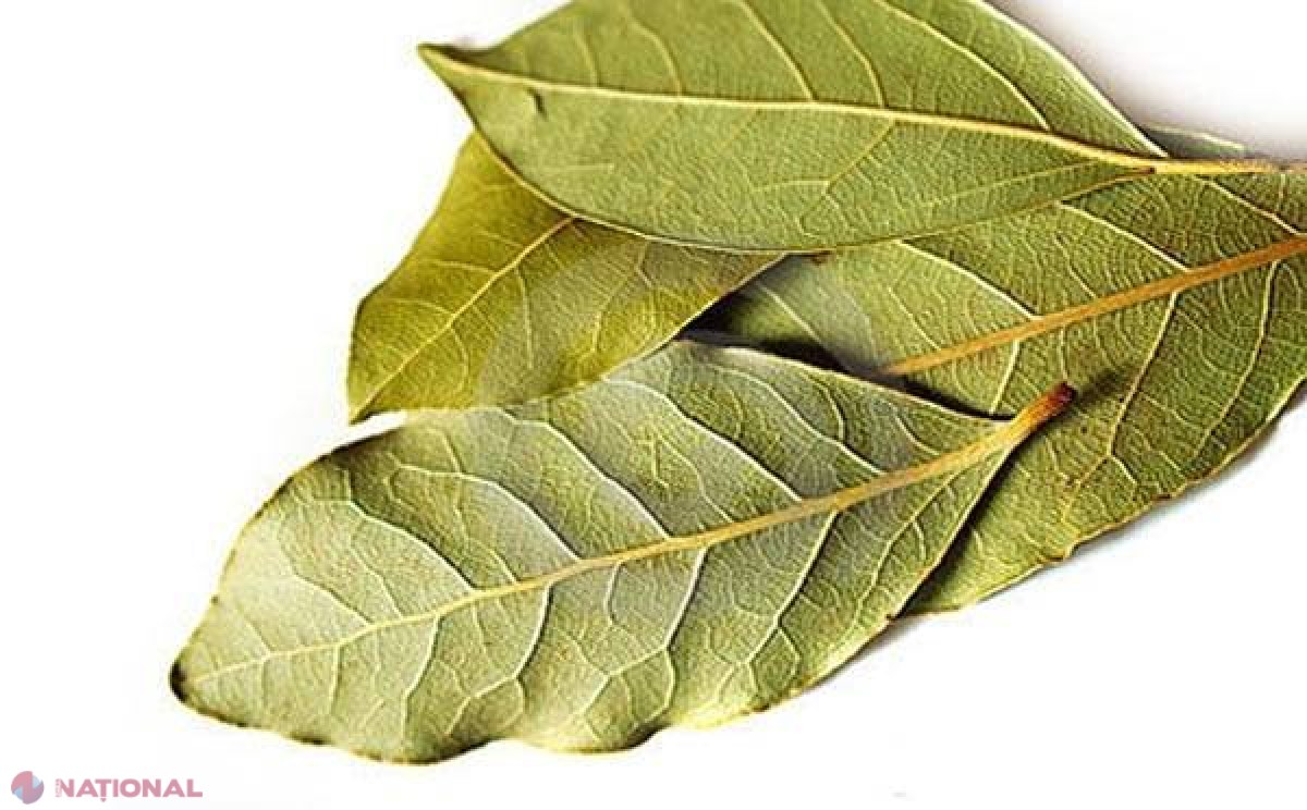 CURIOS // De ce trebuie să pui FRUNZE de DAFIN în mâncare