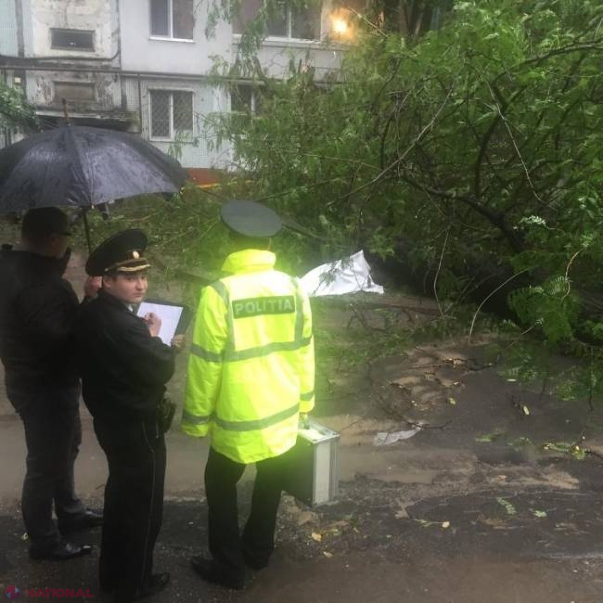 Ce se mai întâmplă cu dosarul șefului de la Buicani a „spațiilor verzi”, care a fost închis după ce un copac a căzut peste o femeie și a omorât-o