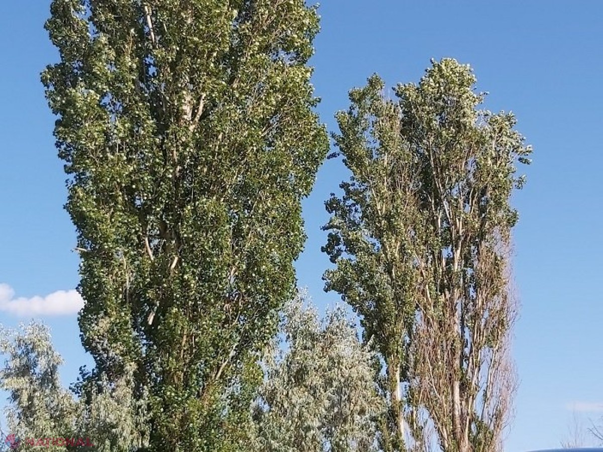 METEO // Cod PORTOCALIU, emis de meteorologii din R. Moldova: Ce temperaturi ne așteaptă până la finele lunii august