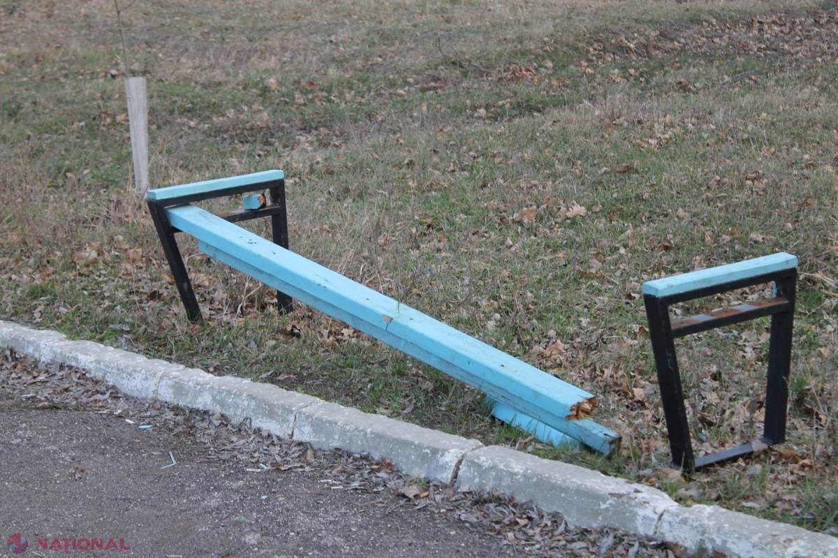 FOTO // Parc DEVASTAT: Bănci rupte, copaci smulși din pământ și coșuri de gunoi distruse