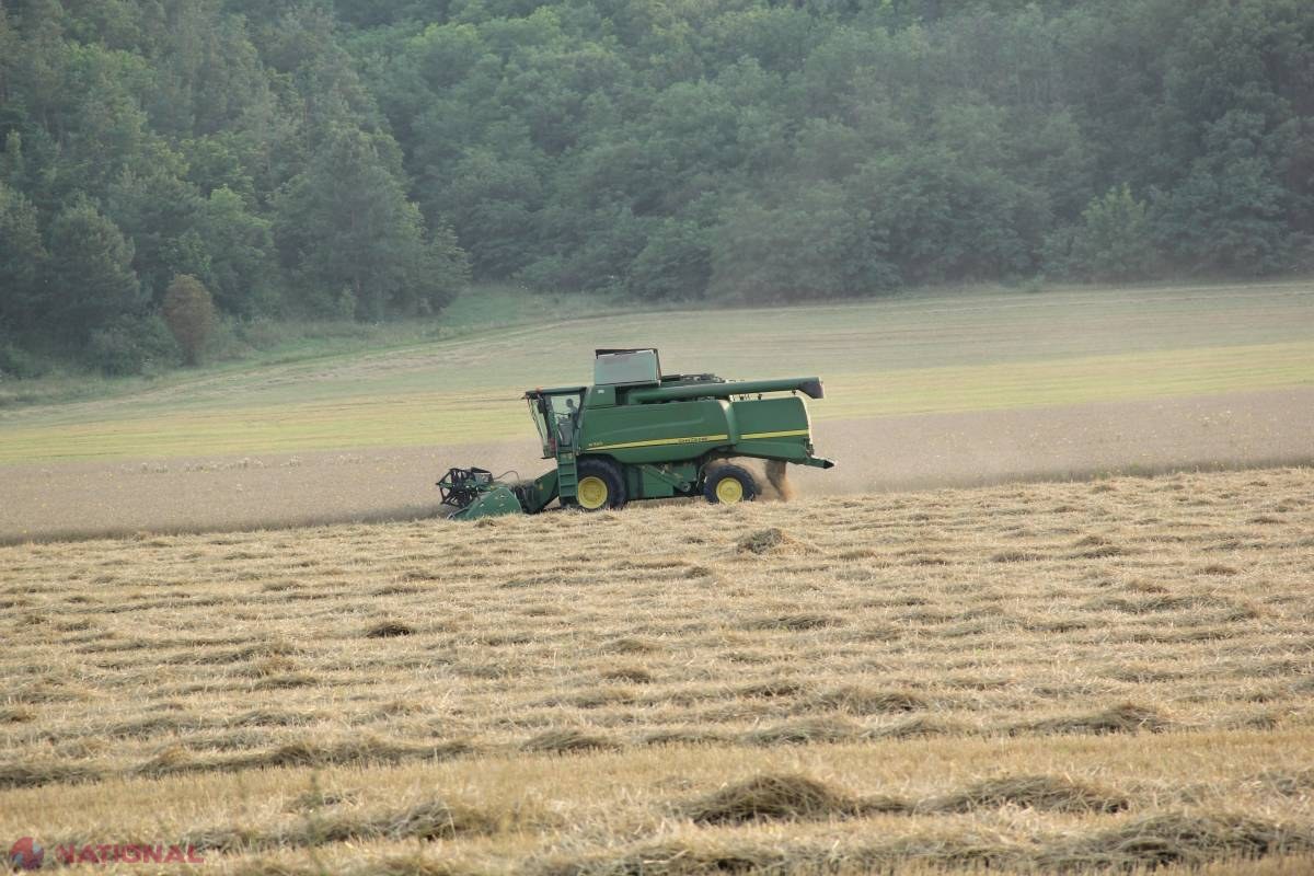 Fabrică de uscat legume, seră hodroponică, un abator și alte afaceri din R. Moldova, FINANȚATE din creditul polonez