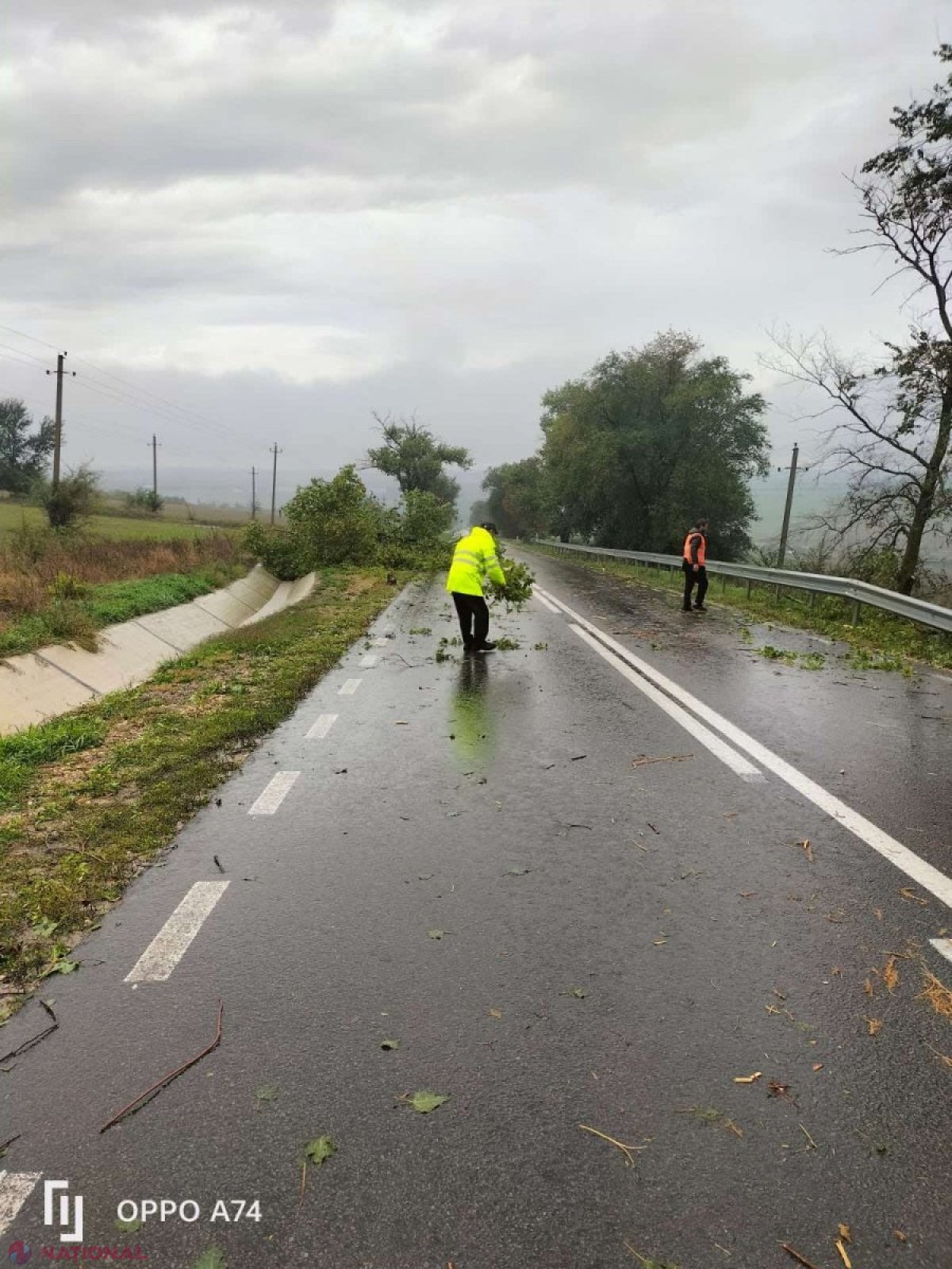 Trei sectoare de drumuri publice naționale, afectate de ploile abundente din weekend. Copacii doborâți și acumulările de nămol și pietriș au blocat circulația