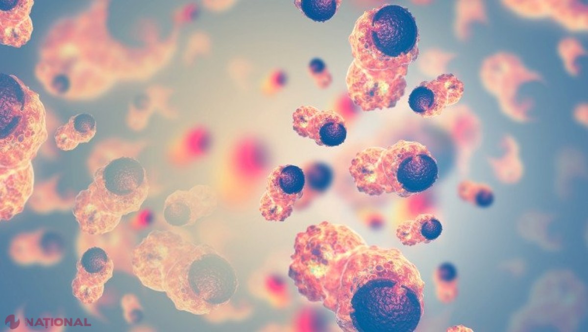 Studiu îngrijorător: Oamenii de ştiinţă spun că au descoperit cauza înmulţirii inexplicabile a cazurilor de cancer 