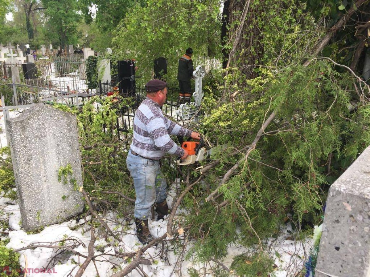 Paștele Blajinilor: Dorin Chirtoacă îndeamnă oamenii să nu meargă la cimitir cu „mâncăruri și băuturi”. Există pericolul să mai CADĂ crengi