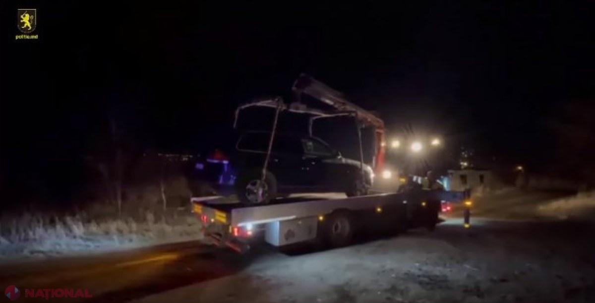 VIDEO // Pădurea din Băcioi are „secrete”: Ce au descoperit oamenii legii în plină noapte lângă capitală
