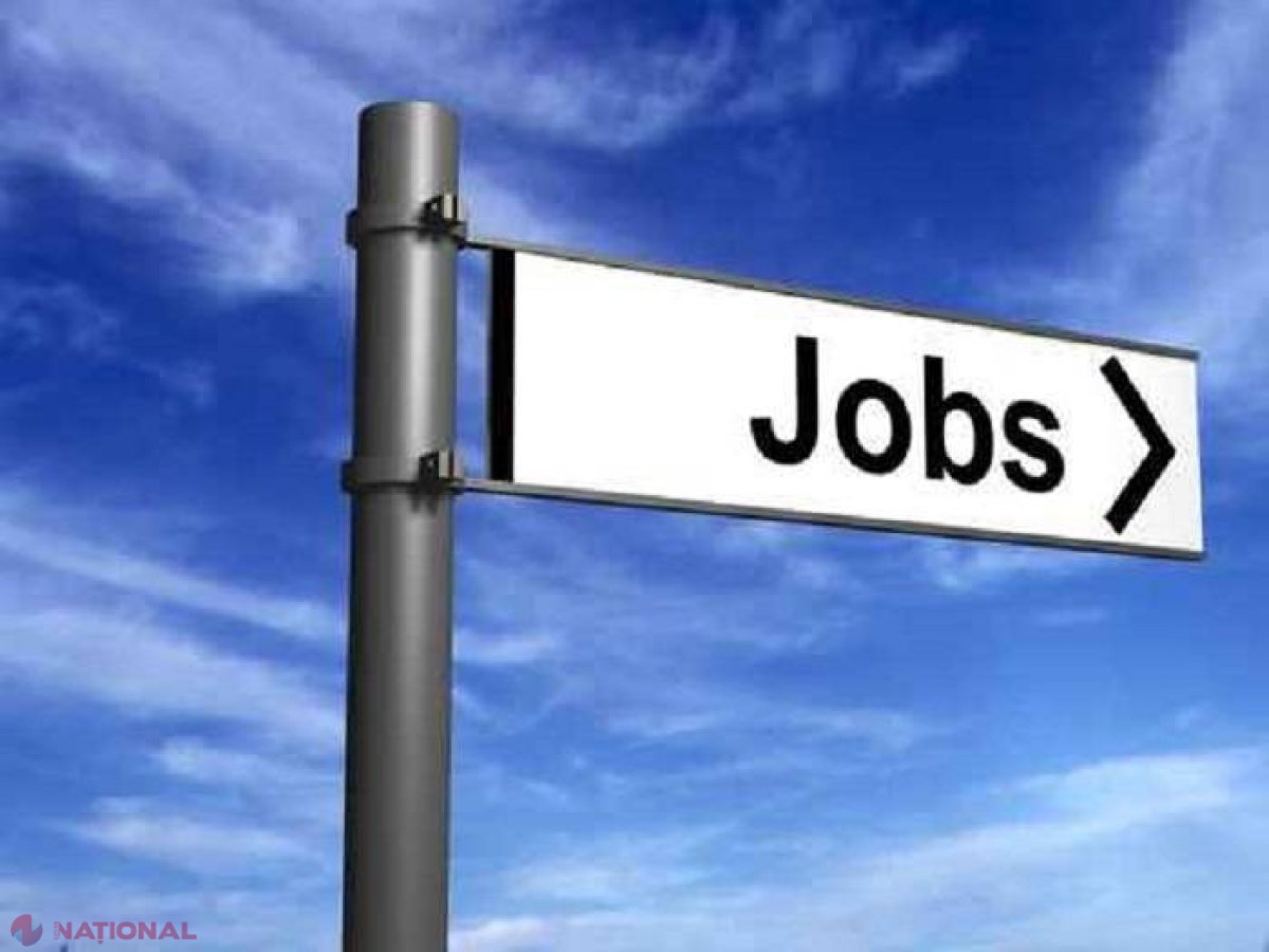 OFERTĂ // O sută cele mai plătite locuri de muncă vacante din R. Moldova. Se propun salarii de peste zece mii de lei