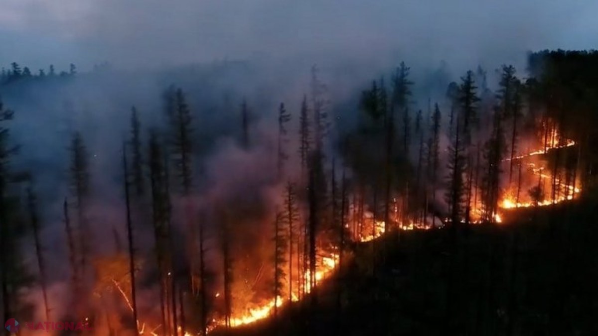 Siberia în flăcări. Una dintre cele mai reci regiuni din lume, cuprinsă de sute de incendii: Ne sufocăm, plămânii sunt otrăviți de fum