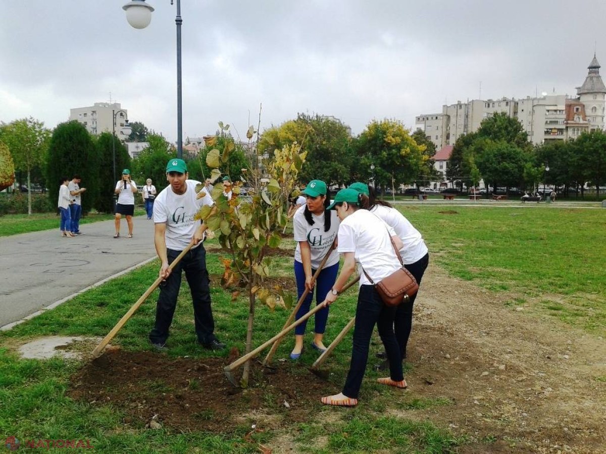 Acțiune de PLANTARE a arborilor, astăzi, în toată republica