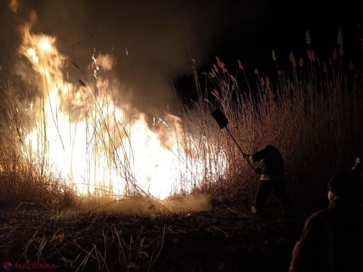 FOTO, VIDEO // Rezervația Prutul de Jos, la un pas de a fi făcută SCRUM: Zona incubatorului de păsări, SALVATĂ după opt ore de luptă cu flăcările 