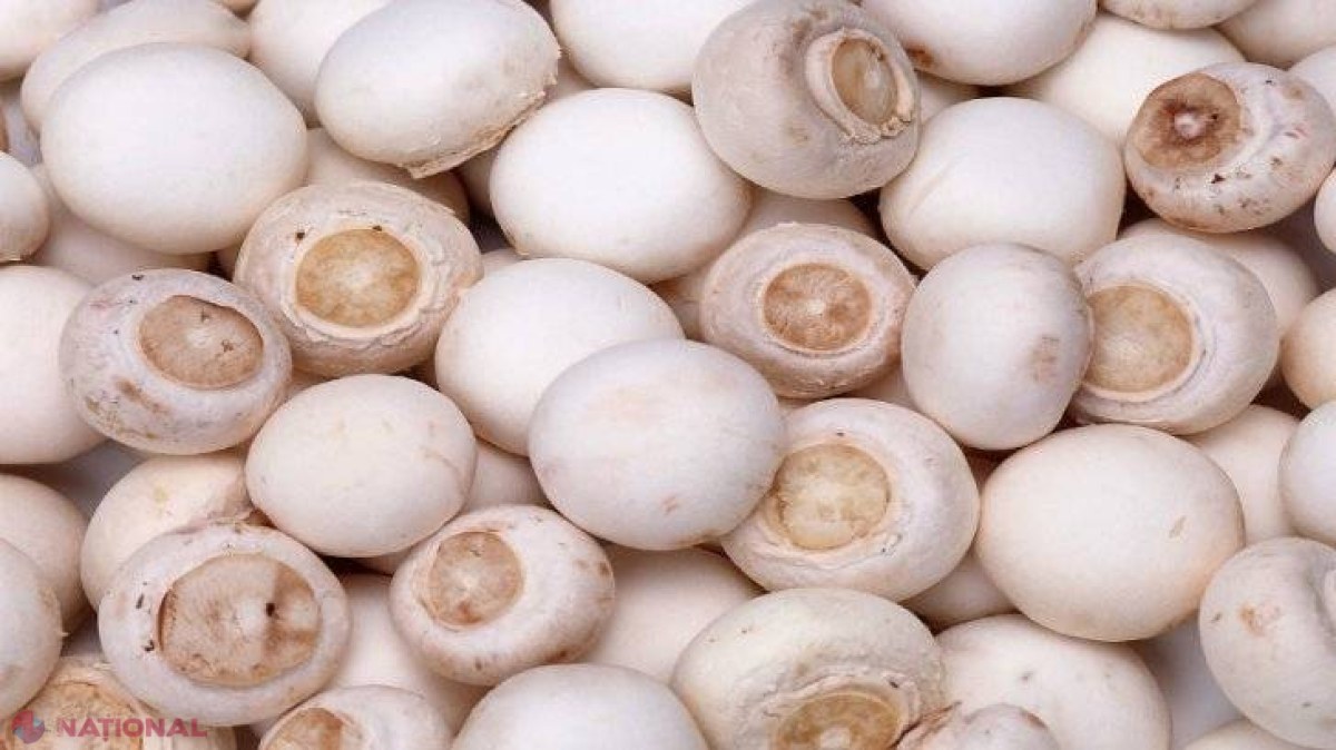 Adevărul nespus despre ciupercile Champignon din supermarketuri. Le consumi fără să ştii asta! 