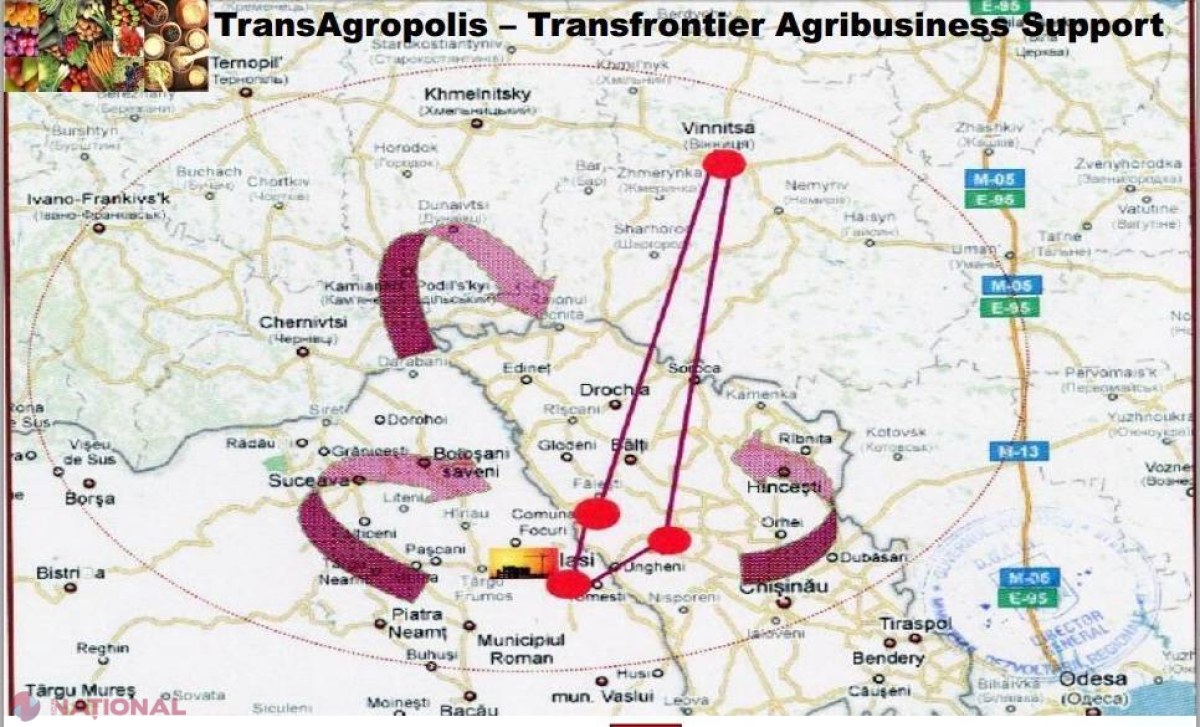 Piața de la Lețcani // Agricultură de milioane din colaborarea moldo-română