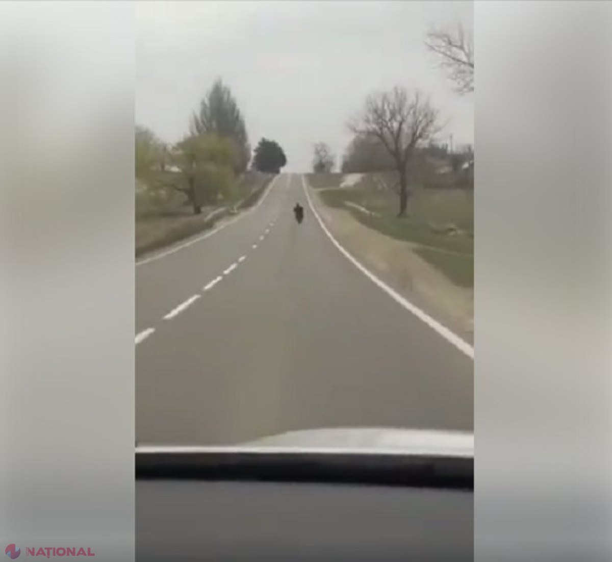 VIDEO // Urmărire ca în filme pe drumurile din Fălești și Sângerei: Un ins a furat o motocicletă și, urmărit de oamenii legii, s-a accidentat