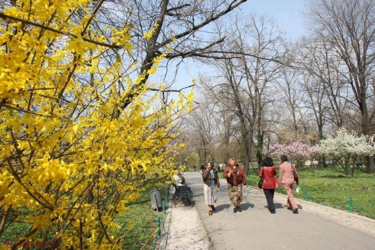 Weekend cu vreme frumoasă și caldă