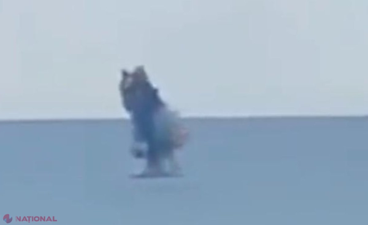 Una dintre cele mai moderne nave ale Flotei Rusiei, AVARIATĂ de ucraineni în portul Sevastopol din Crimeea