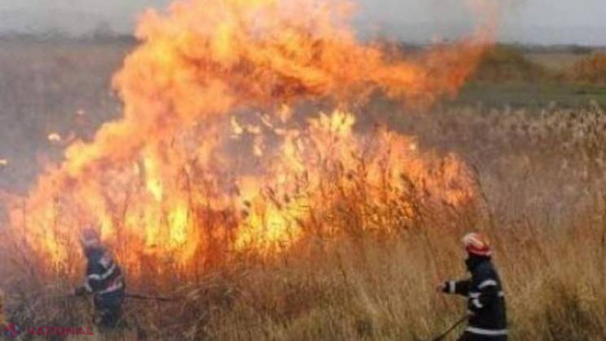 Sute de hectare din R. Moldova au ARS într-o singură zi