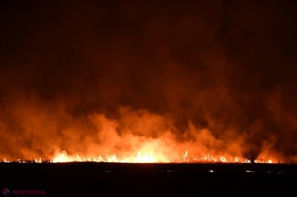 VIDEO // MII de hectare din R. Moldova, COMPROMISE de la începutul anului: Pompierii roagă cetățenii să NU dea foc vegetației, iar poliția amintește sancțiunile pentru arderile necontrolate