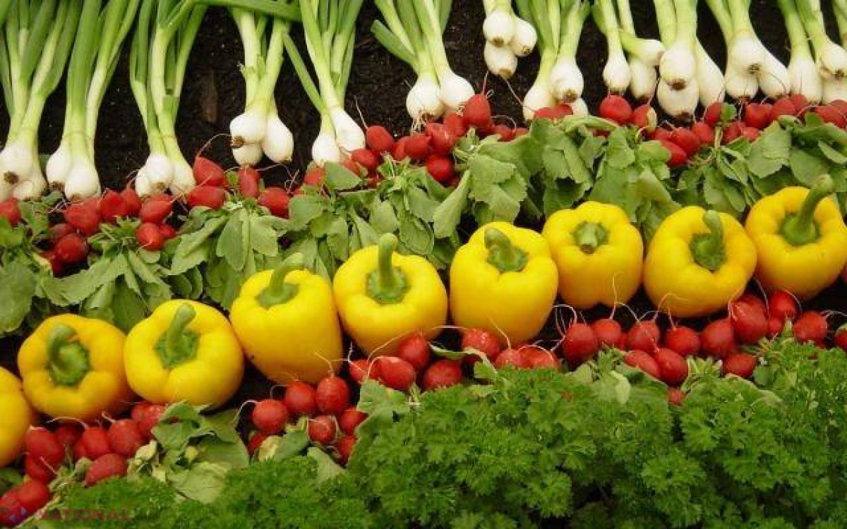 ATENȚIONARE // Rusia ar putea interzice și producția agricolă din UE