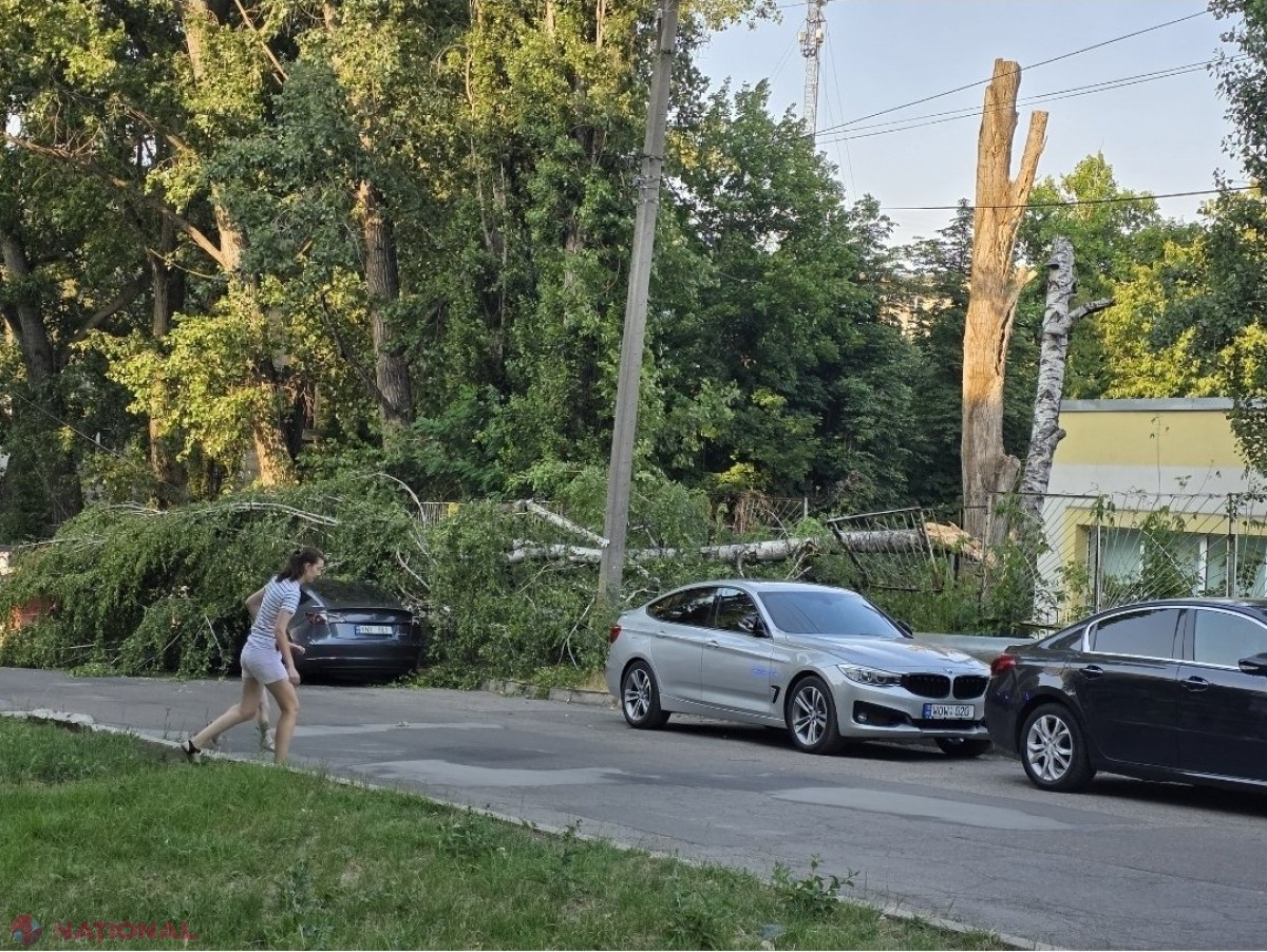 FOTO // Un copac a căzut peste un automobil Tesla în sectorul Buiucani al capitalei ​