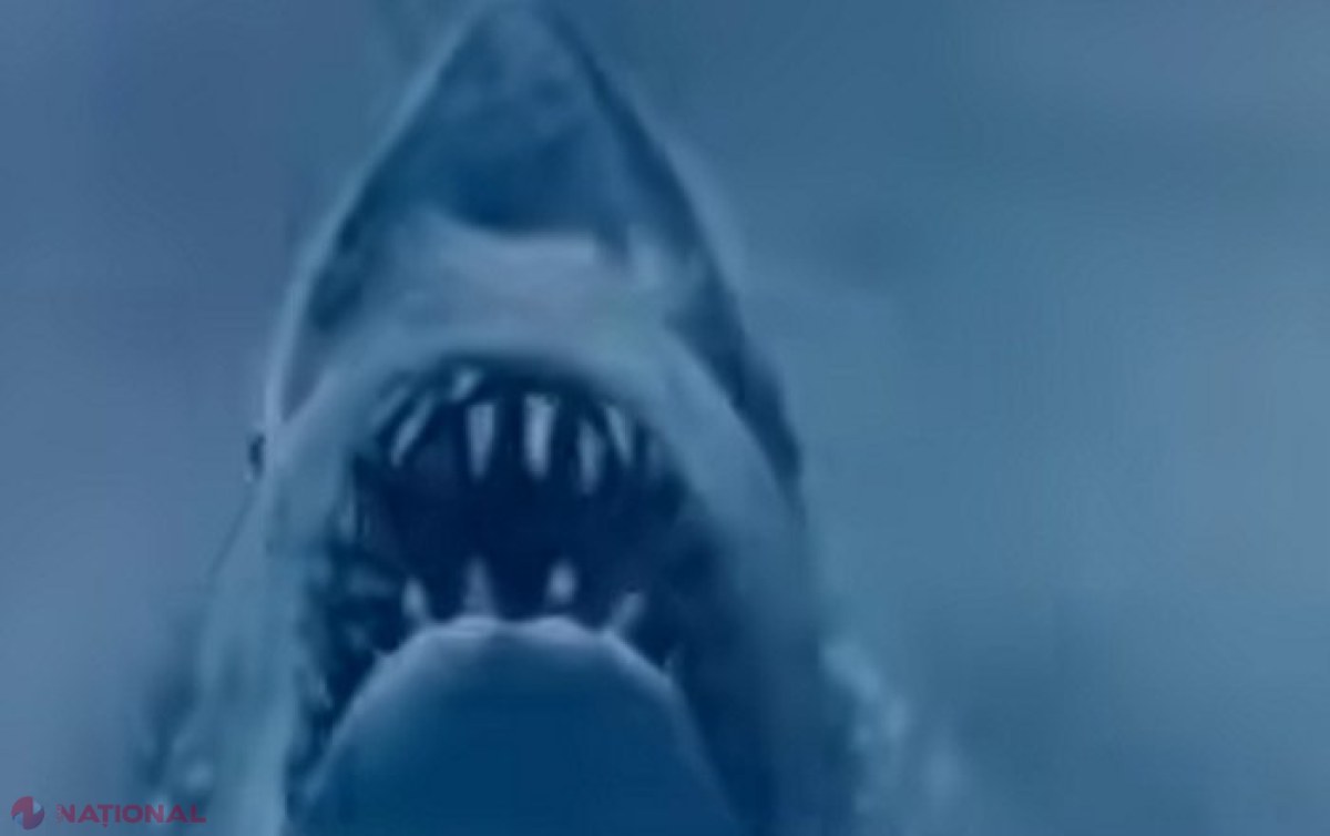 Top 10 filme de Halloween. Peliculele de groază cu cele mai mari încasări din toate timpurile