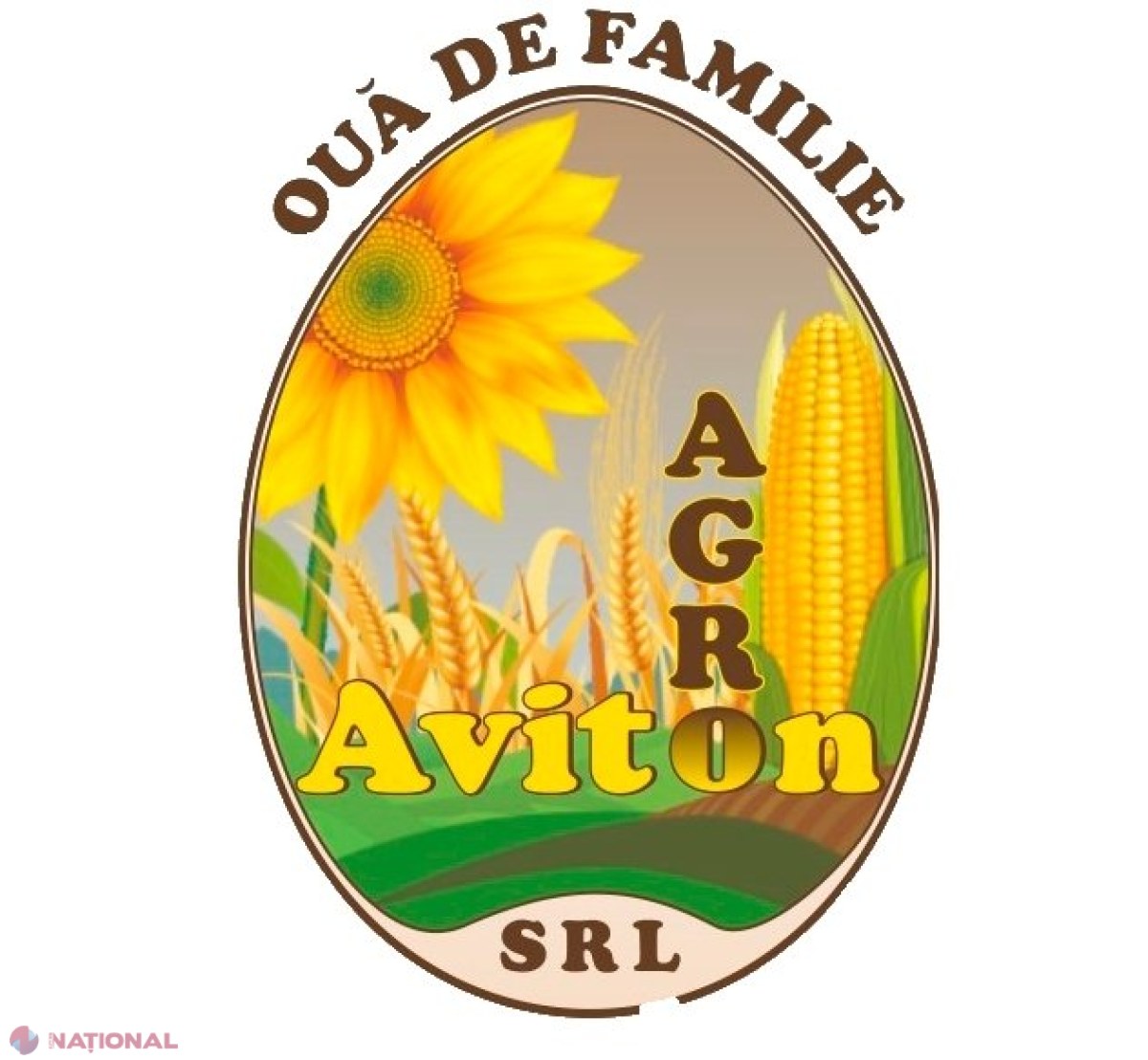 Lot de OUĂ, retras din magazine: Produsele ar fi contaminate cu Salmonella