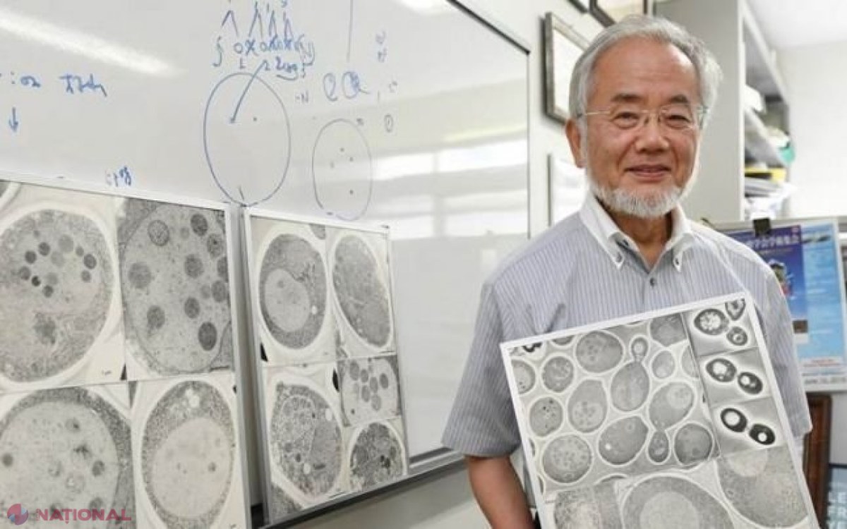 Dieta japonezului LAUREAT al premiului Nobel: ajută la scăderea în greutate şi regenerarea celulară