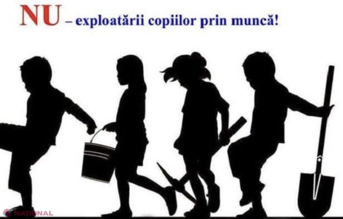 Patron amendat cu 10 500 de lei pentru exploatarea prin muncă a unui minor: 40 de copii angajați în câmpul muncii în ultimii cinci ani și patru cazuri în instanțele de judecată 