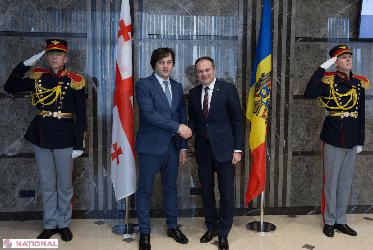 Georgia și R. Moldova își UNESC forțele pentru a apropia aderarea acestor state la UE