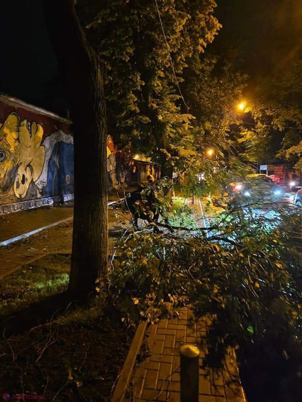 GALERIE FOTO // Furtuna de noaptea trecută a făcut ravagii în Chișinău - mai mulți copaci au fost rupți sau SMULȘI din rădăcină, mașini avariate, garduri doborâte și fire electrice căzute la pământ