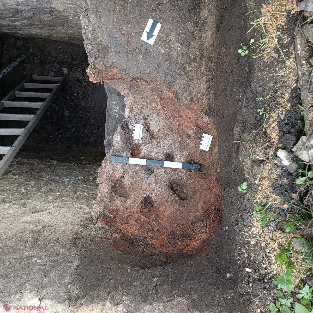 FOTO // „Comoara” descoperită de un gospodar de la Enichioi, în propria curte: Data din sec. IX-XI