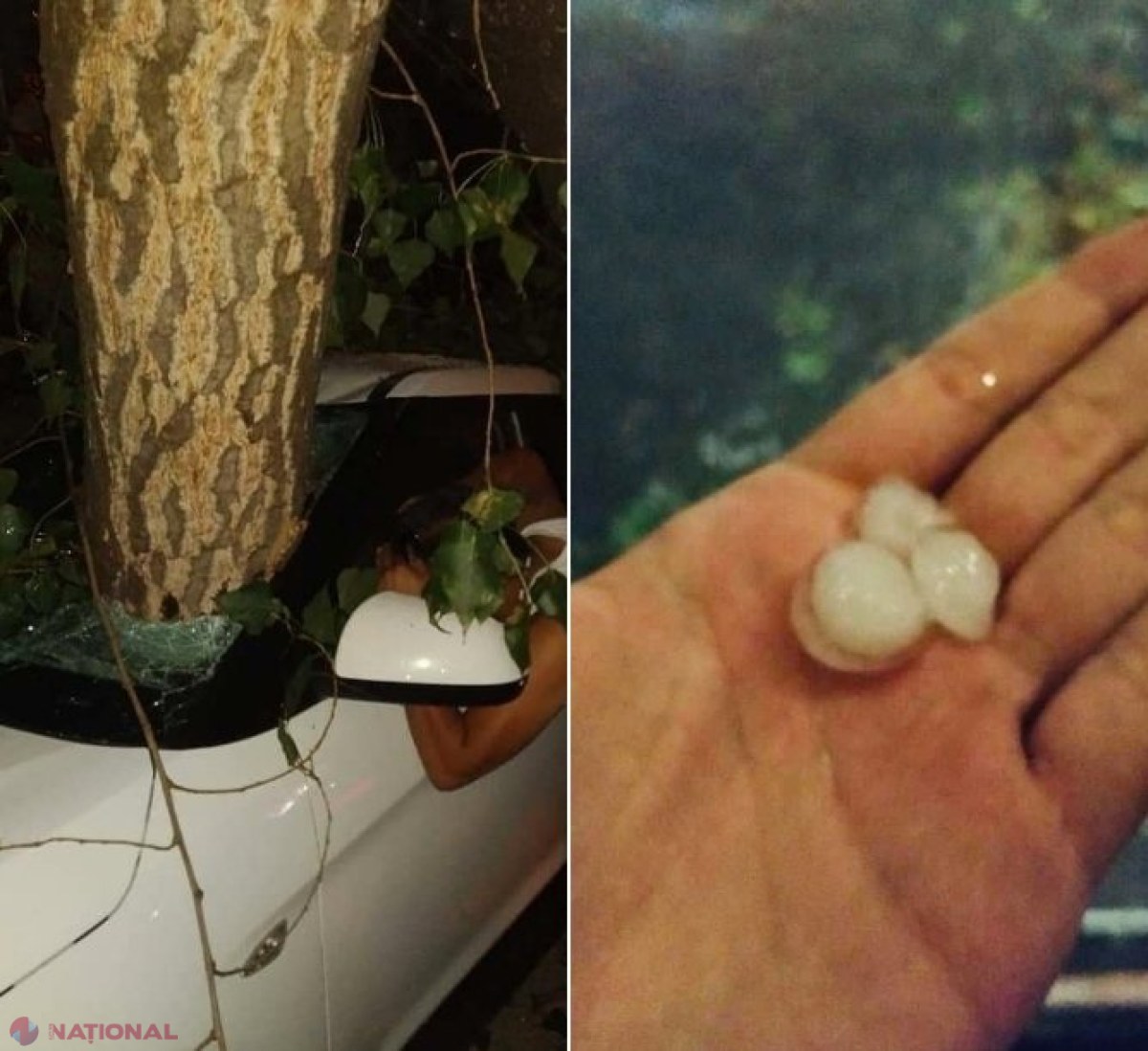 FOTO // Furtuna de joi-seară a doborât zeci de arbori peste case, mașini, drumuri și a lăsat numeroase localități în beznă: Cele mai afectate raioane și străzi din Chișinău