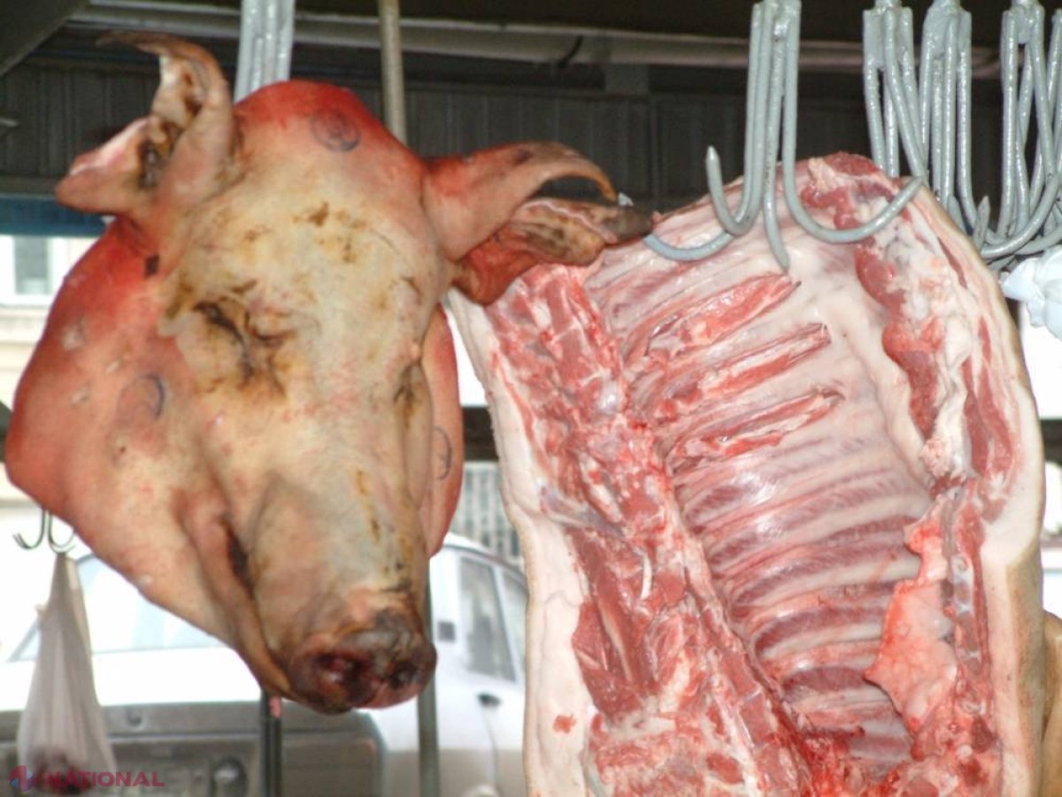 Pesta porcină africană: Încă un porc și un mistreț, găsiți morți în R. Moldova. Chiar dacă sunt interzise, produsele ucrainene au ajuns până la Chișinău
