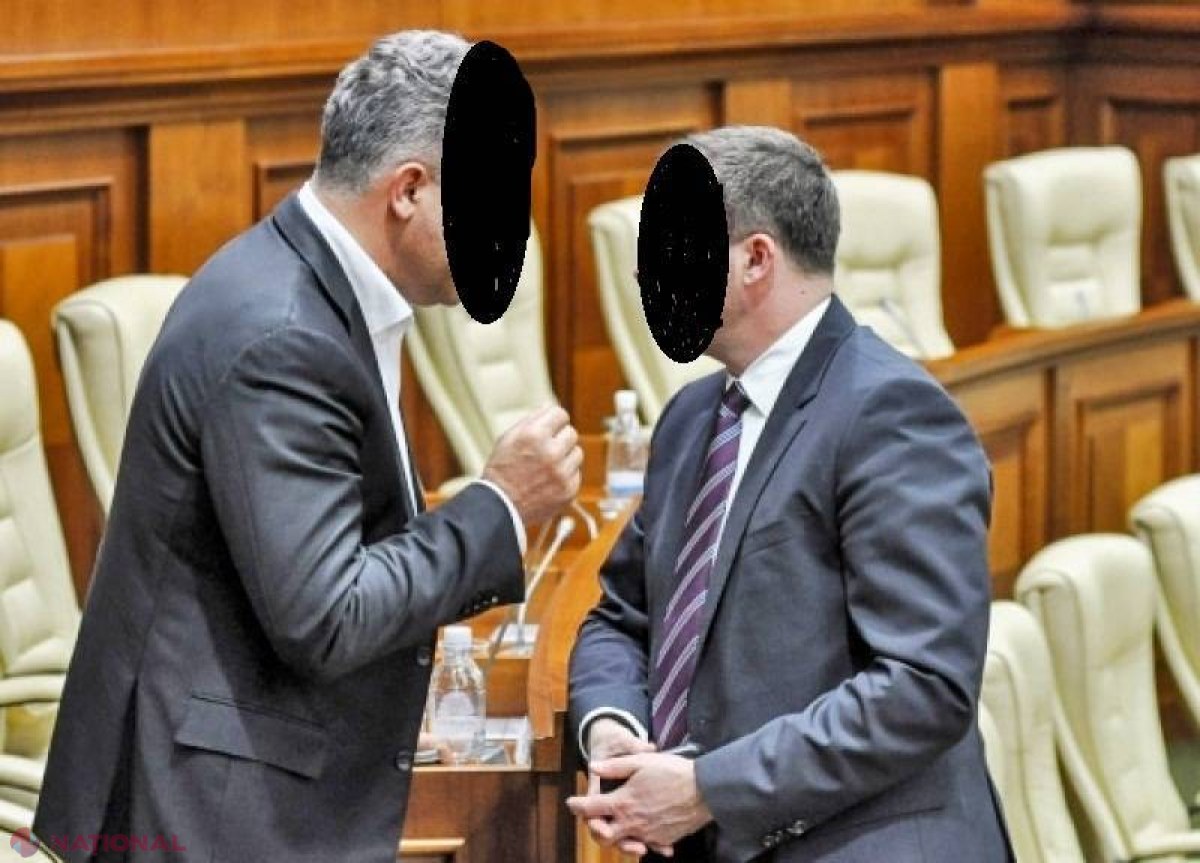 X, președintele Parlamentului, și Y, liderul principalului partid de la guvernare, parteneri de afaceri