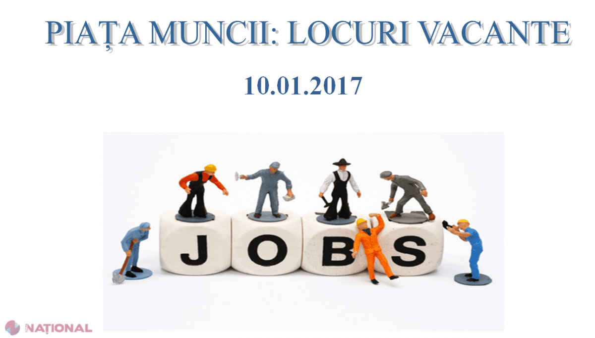 PROFESIA cea mai CĂUTATĂ acum pe piața muncii din R. Moldova: Peste o mie de OFERTE 